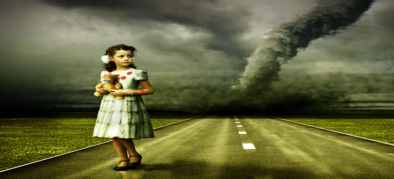 Buckingham Public Adjuster Services